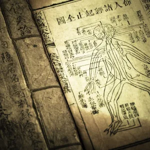 Chinese medicine text