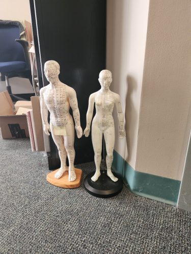 Acupuncture-Marysville-Ohio-4